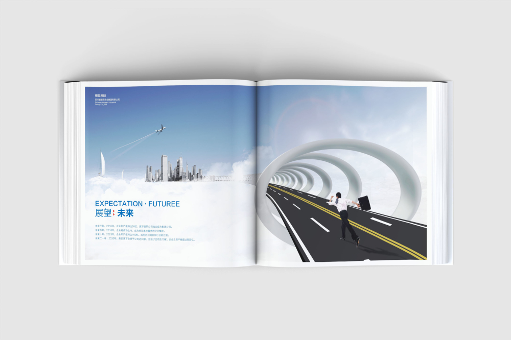广元画册设计